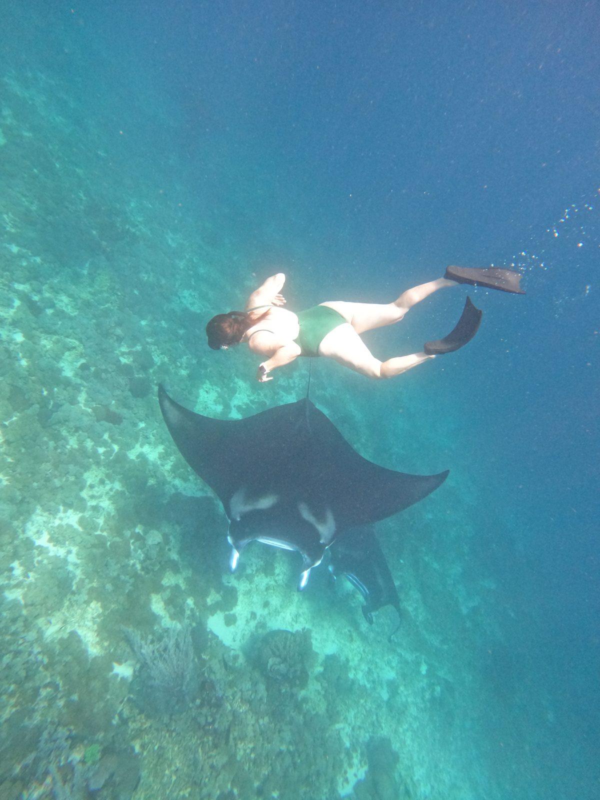Manta Point – Snorkeller swimming beside manta ray (Real photo from a KEXI trip)