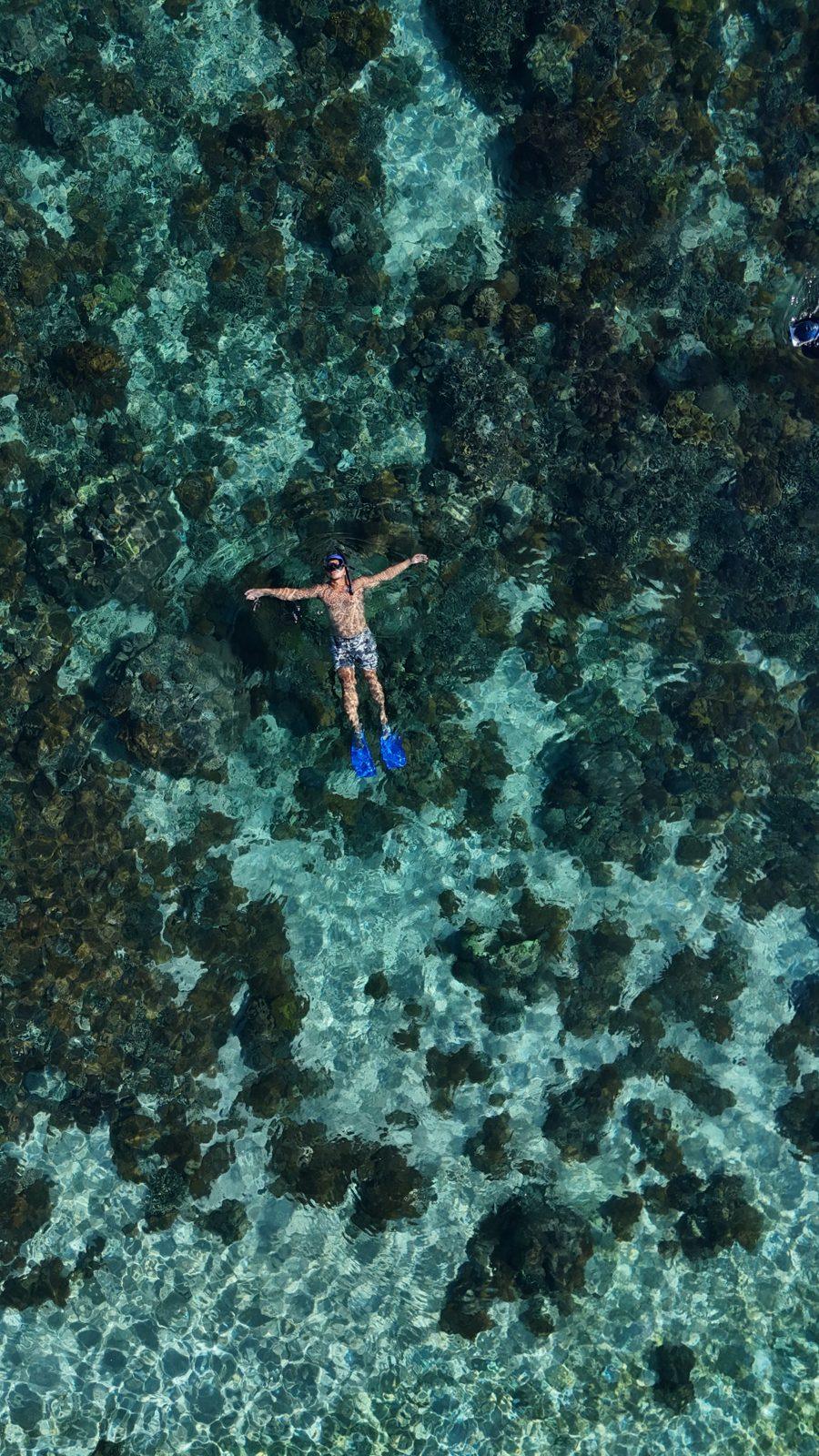 Swim Snorkel – snorkeller floating over coral, drone (Real photo from a KEXI trip)